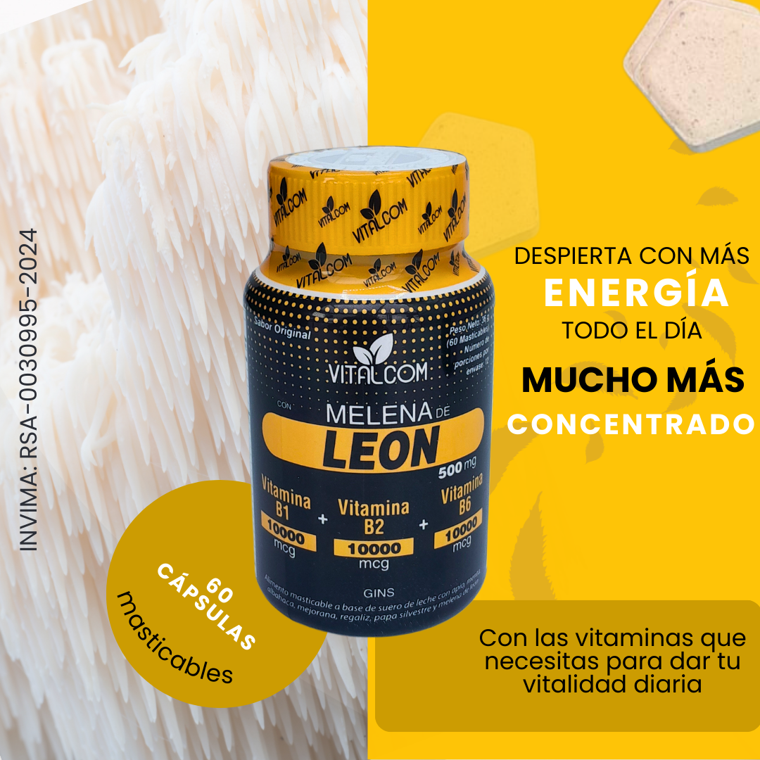 Claridad Mental con Melena de Leon